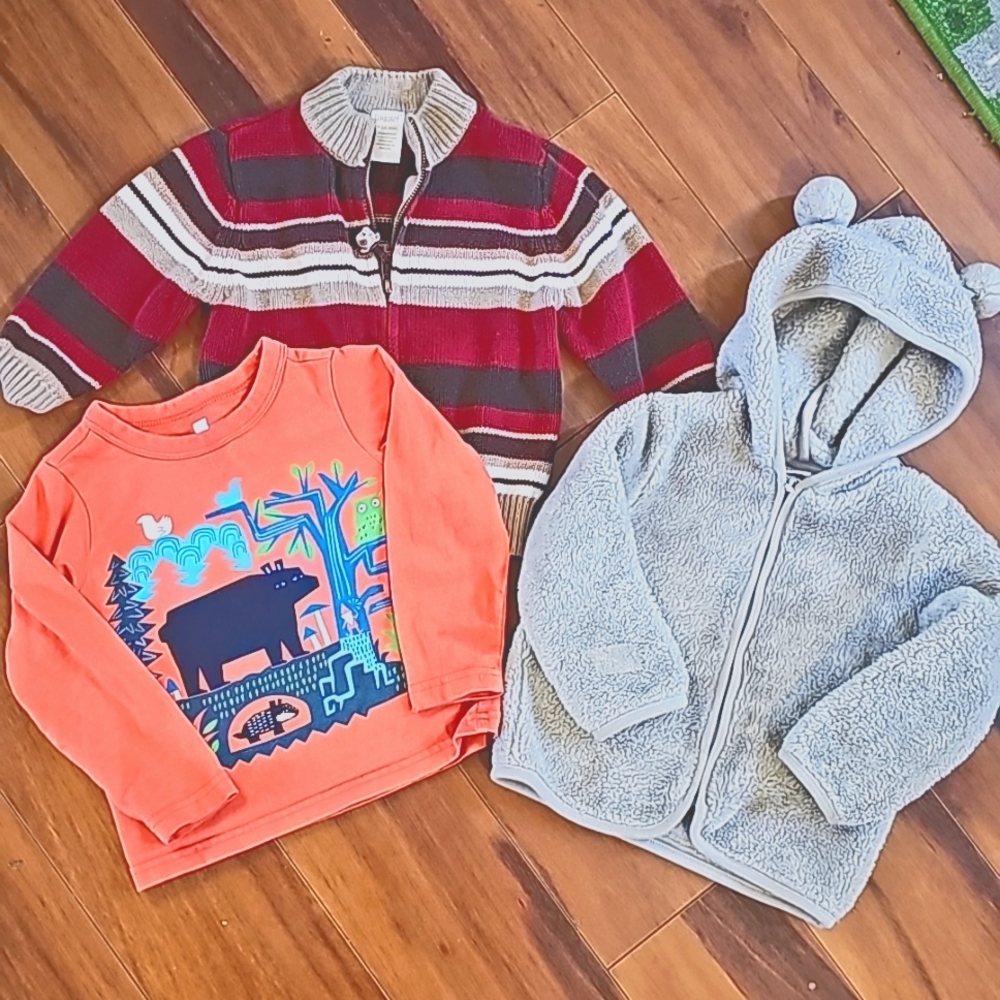 TEA shirt, Gymboree Cardigan, Cat Jack Hoodie 18 months
